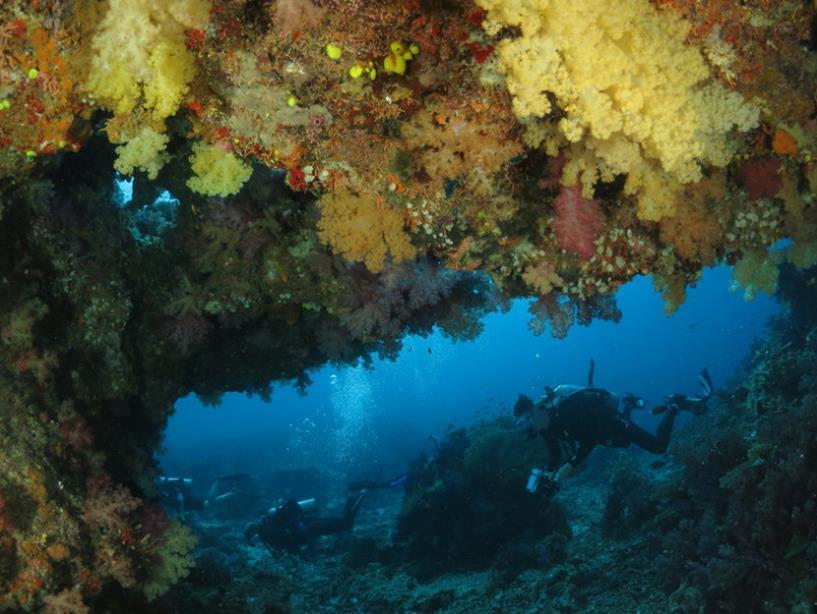 Taveuni Dive Resort Waiyevo Exterior photo
